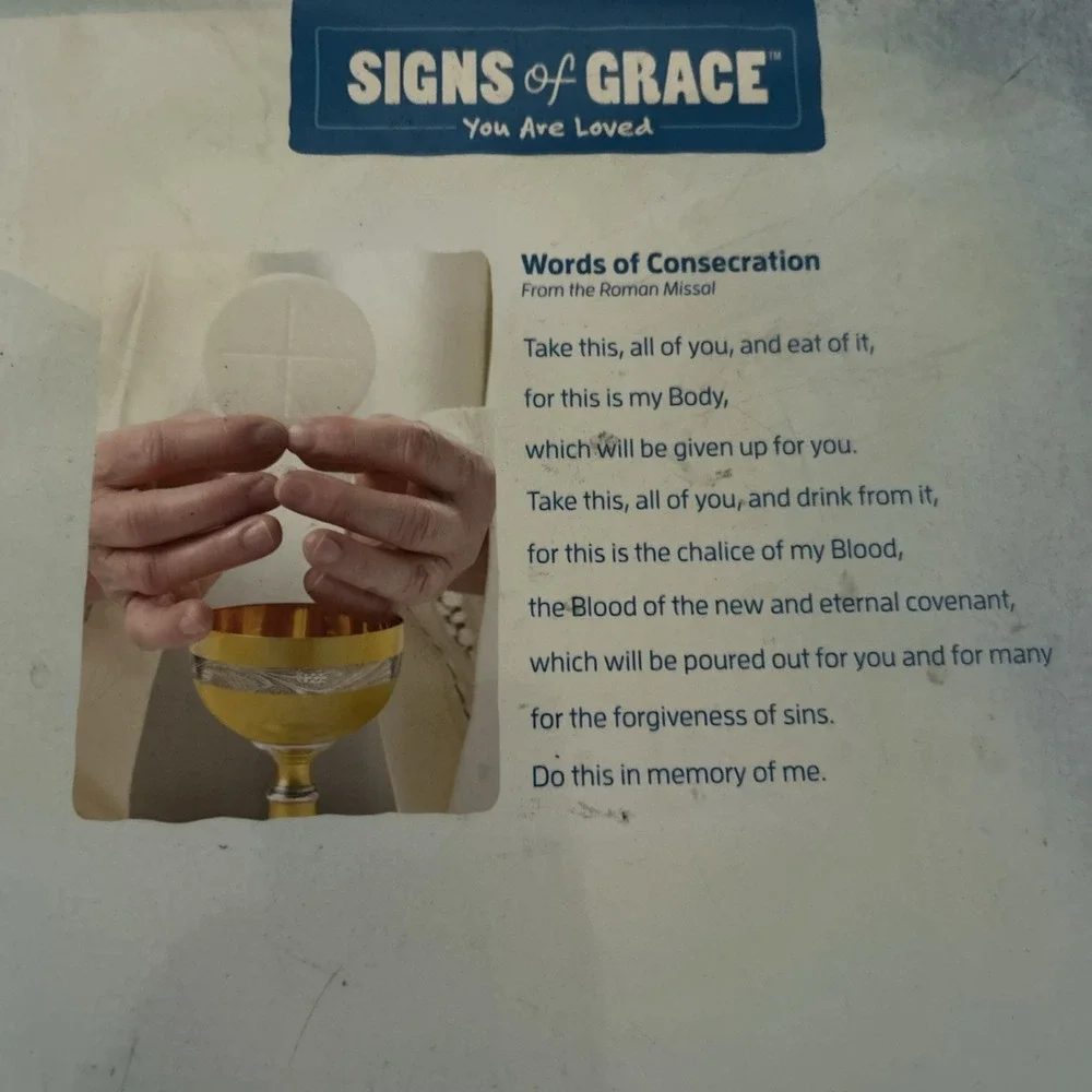 Signs of Grace : Preparing for First Holy Communion You Are Loved Student Guide